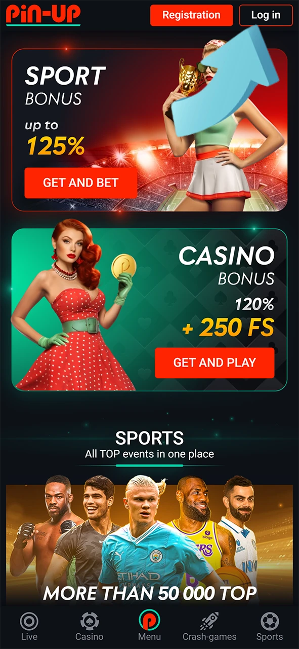 Access the Pin-Up Casino website and sign in.